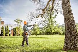 Soil Testing and Treatment in Laguna Heights, TX